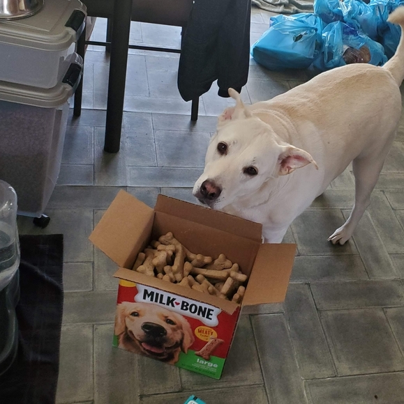 🐾my babies🐾 - Picture 5 of 11